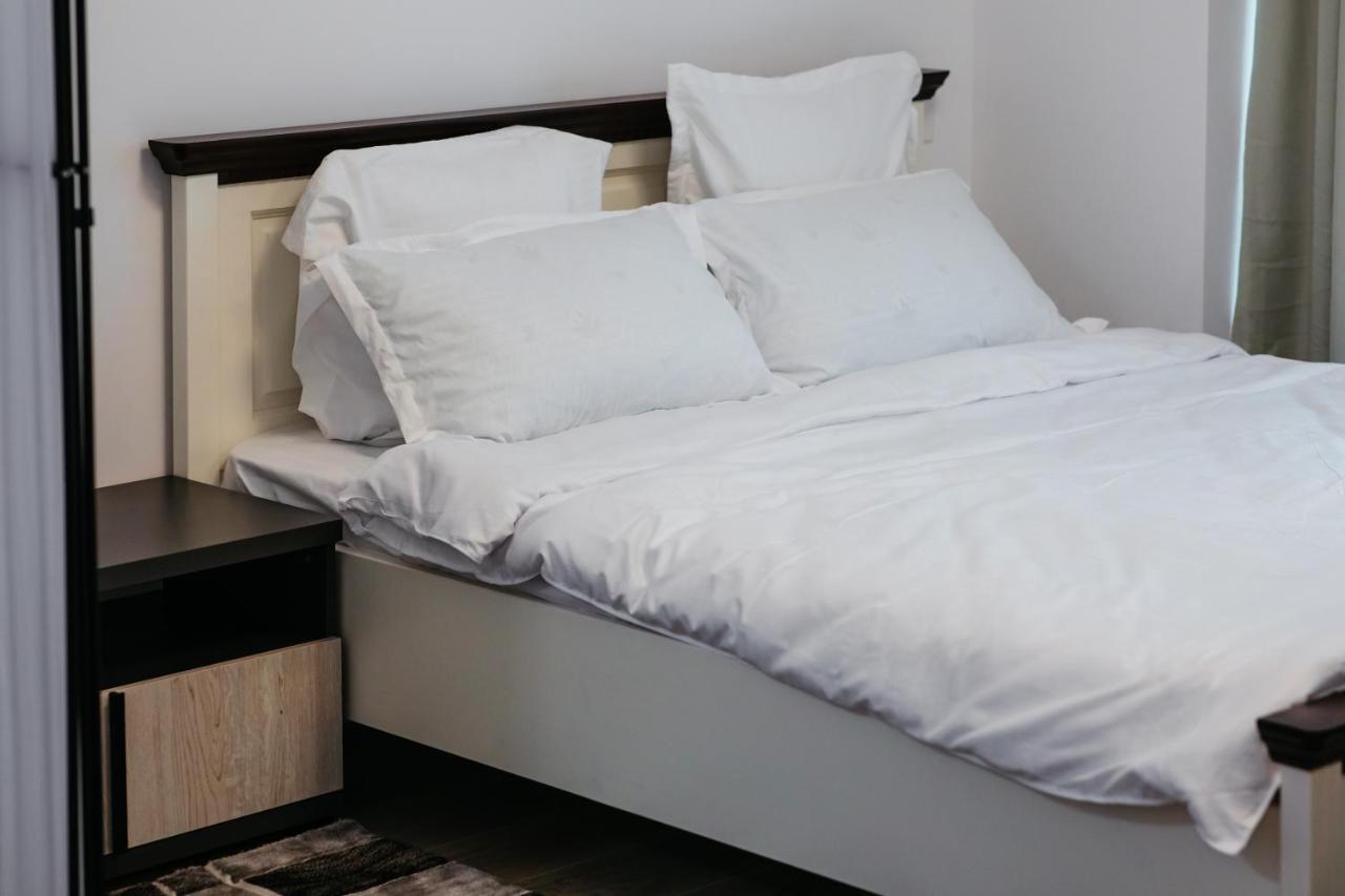 L&V Family Studio Apartment Sinaia Exterior foto