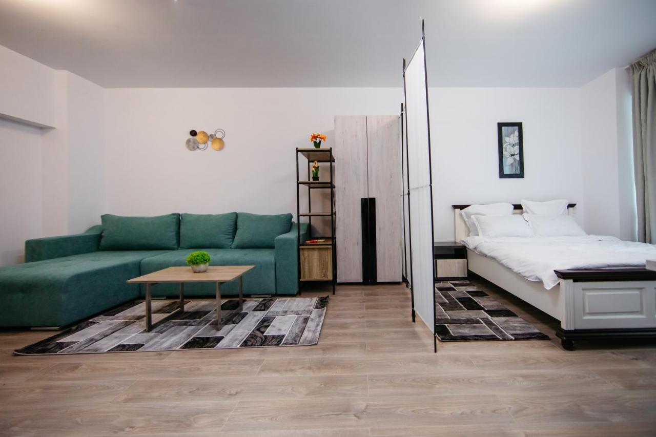 L&V Family Studio Apartment Sinaia Exterior foto