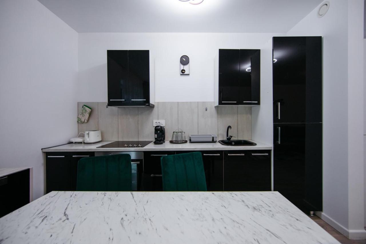 L&V Family Studio Apartment Sinaia Exterior foto