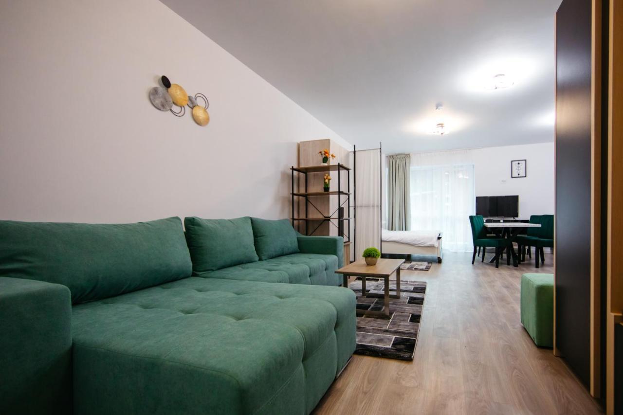 L&V Family Studio Apartment Sinaia Exterior foto