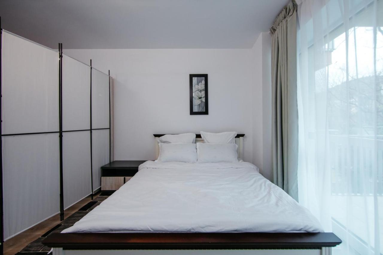 L&V Family Studio Apartment Sinaia Exterior foto