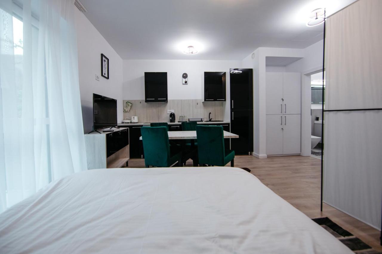 L&V Family Studio Apartment Sinaia Exterior foto